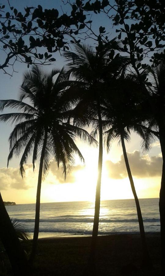 Maison De La Plage ทรัวส์-รีวิแยร์ ภายนอก รูปภาพ