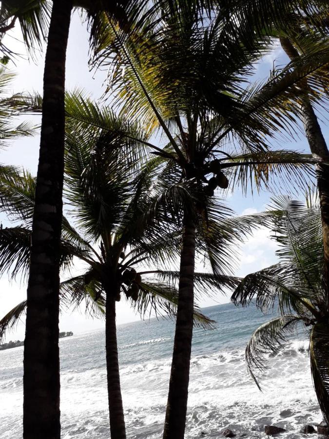 Maison De La Plage ทรัวส์-รีวิแยร์ ภายนอก รูปภาพ